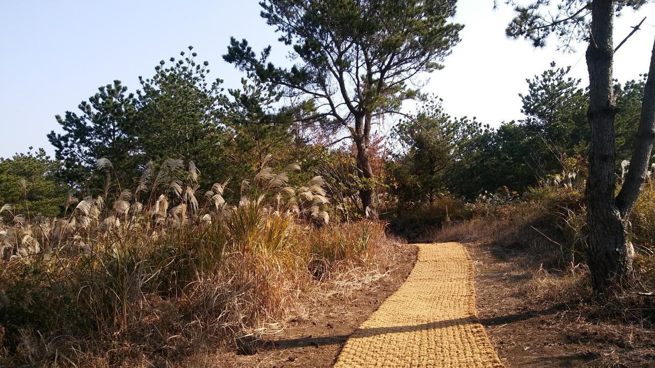 Jeju Youth Hostel 外观 照片
