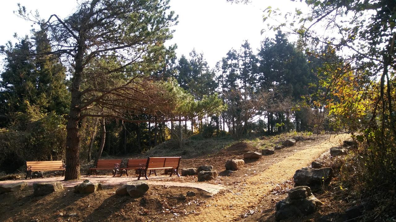 Jeju Youth Hostel 外观 照片