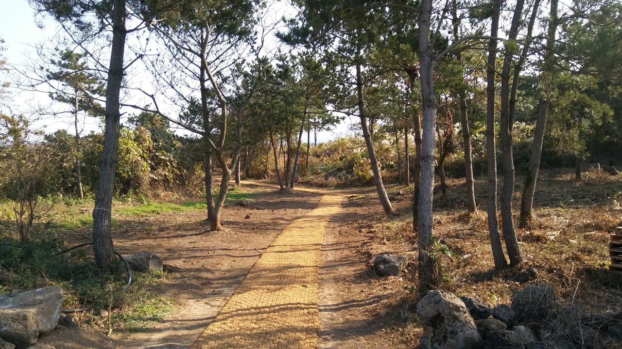 Jeju Youth Hostel 外观 照片
